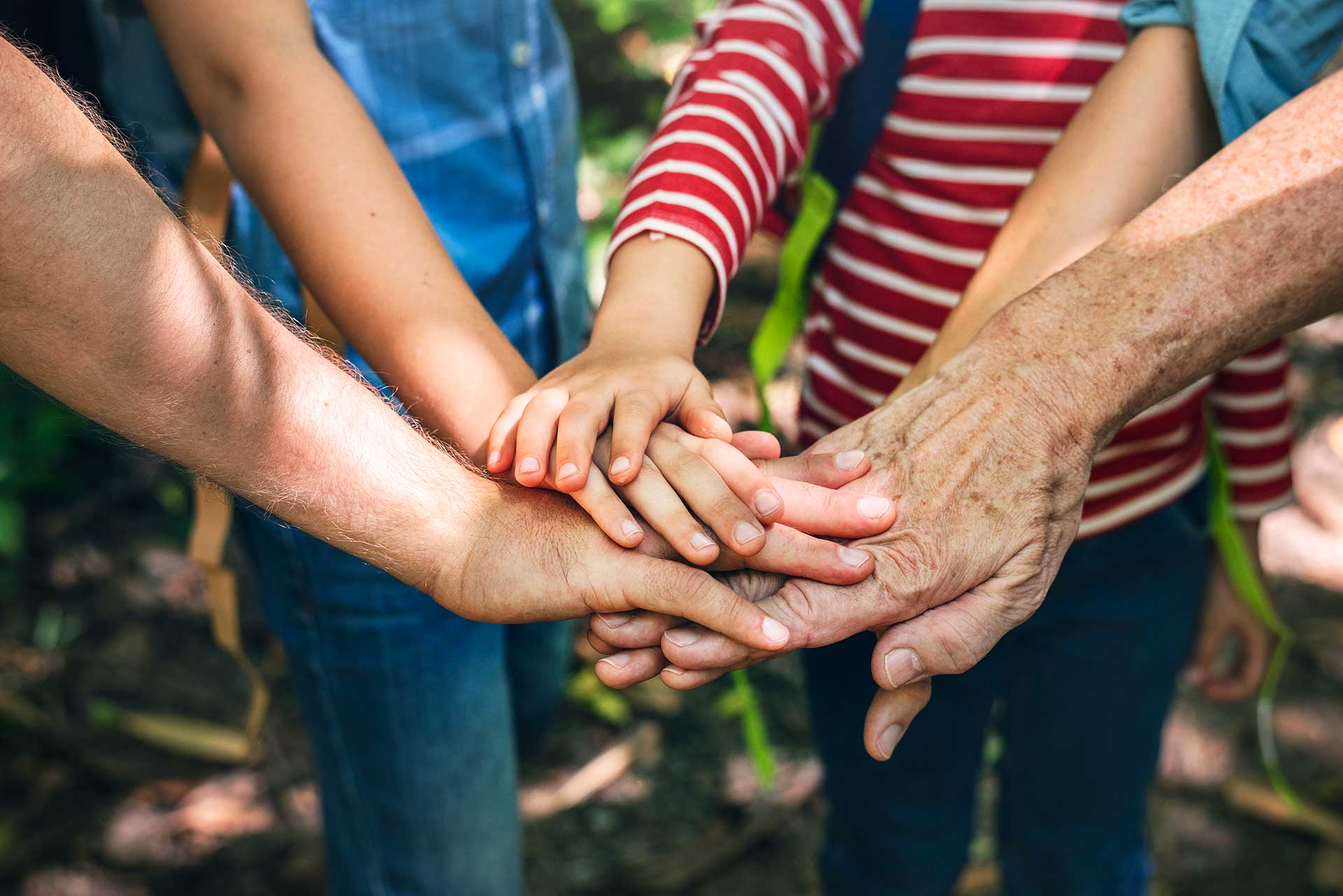 ACCIONES ESTRATEGICAS PARA LAS EMPRESAS FAMILIARES