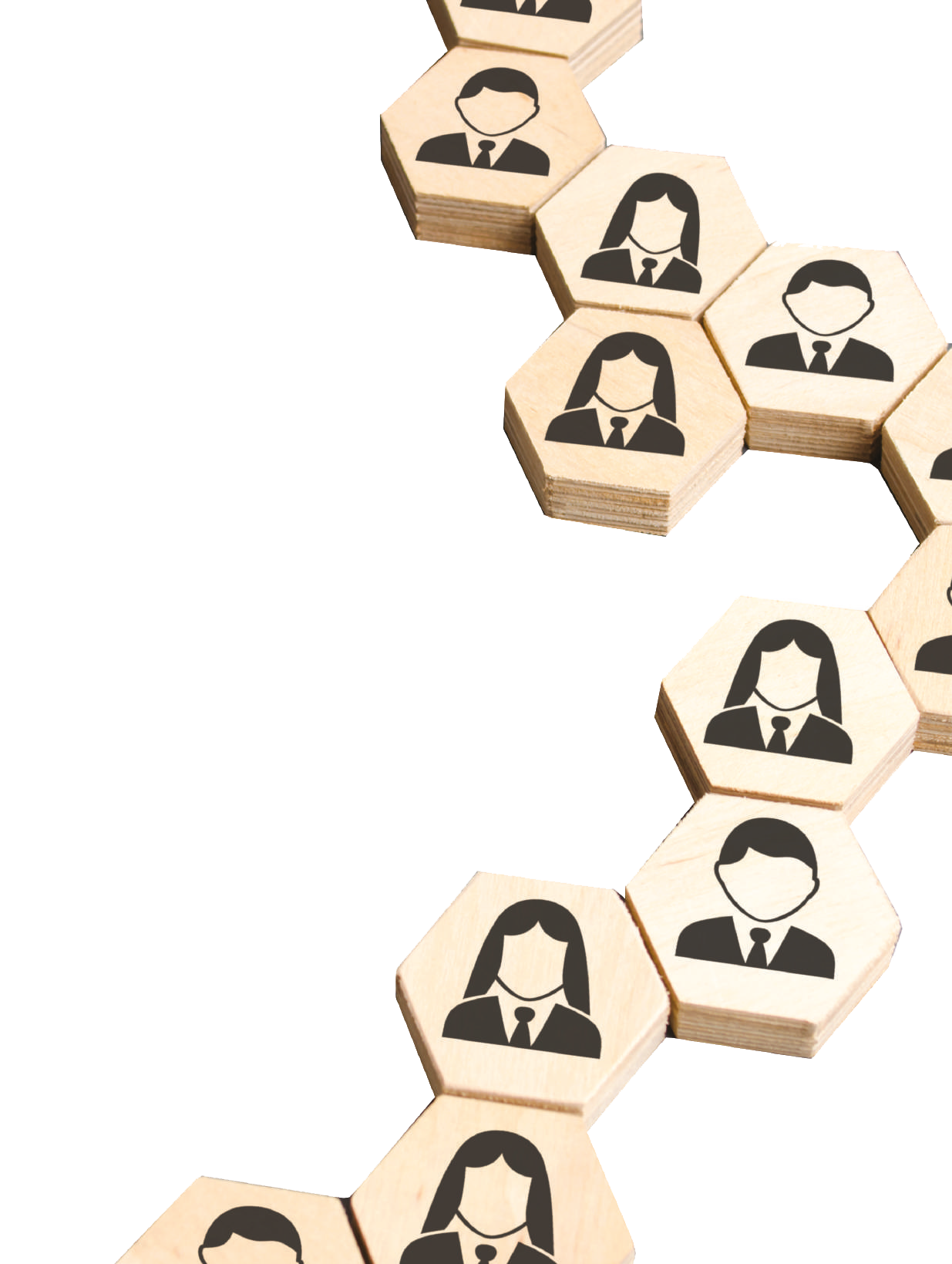 EMPRESAS ÁGILES ¿CÓMO LOGRARLO?