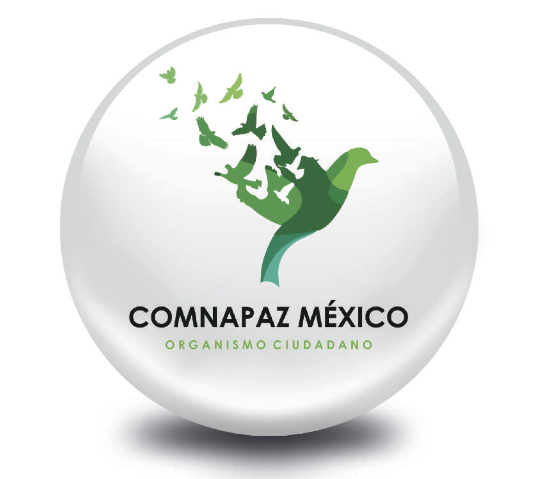 COMNAPAZ LA UNIÓN DEL DEPORTE Y LA CULTURA DE PAZ