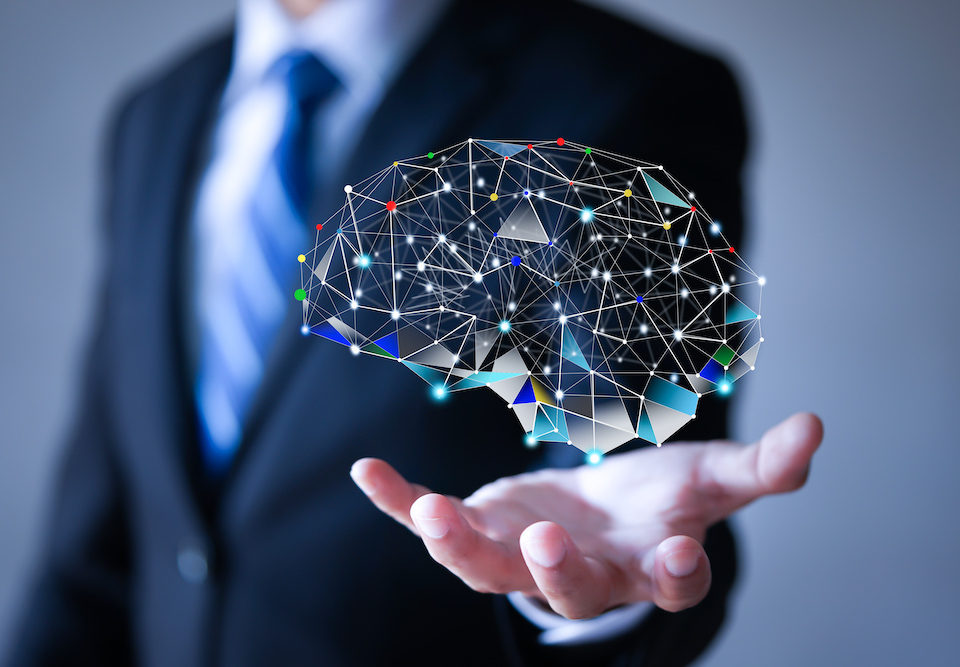 Descubriendo el neuroliderazgo: Equipos extremos y efectivos