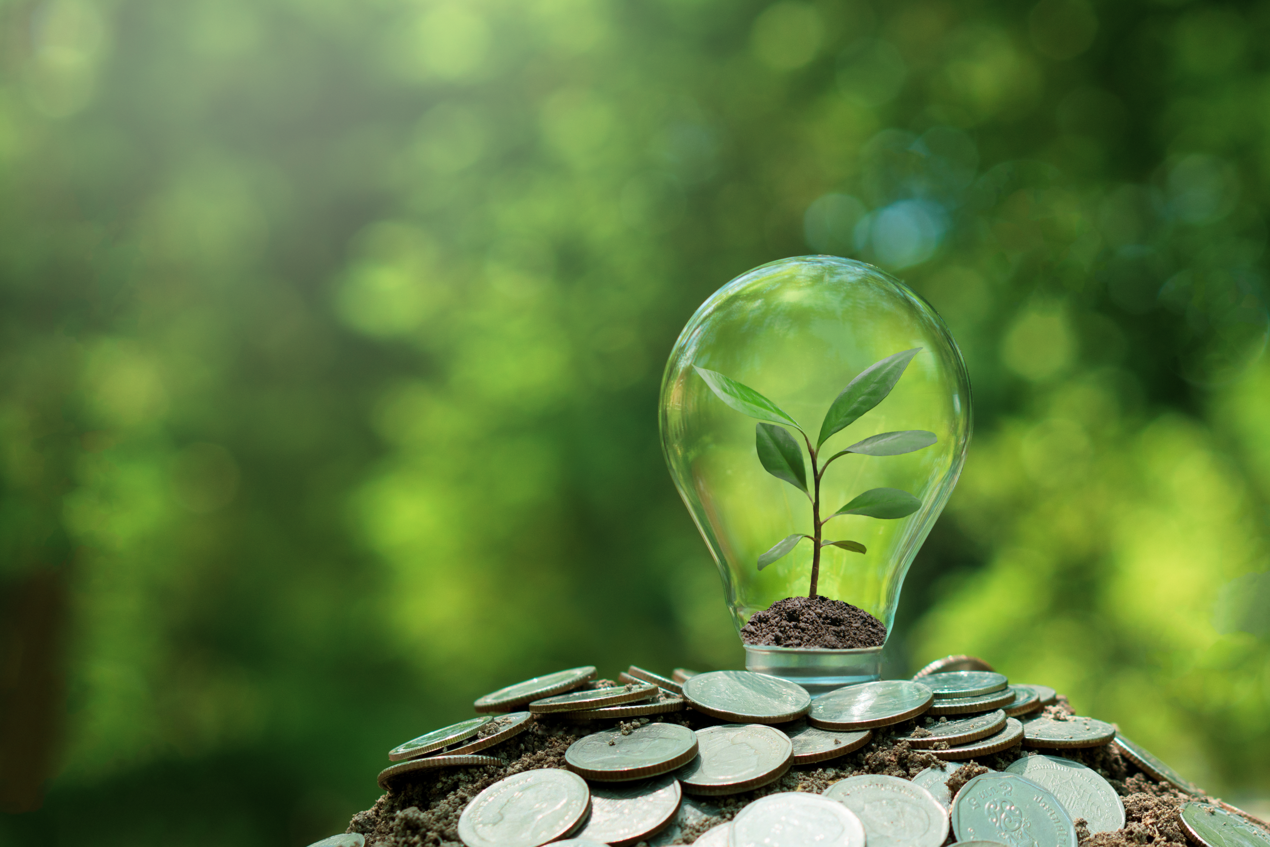 Inversión extranjera crece en sectores estratégicos 🔋