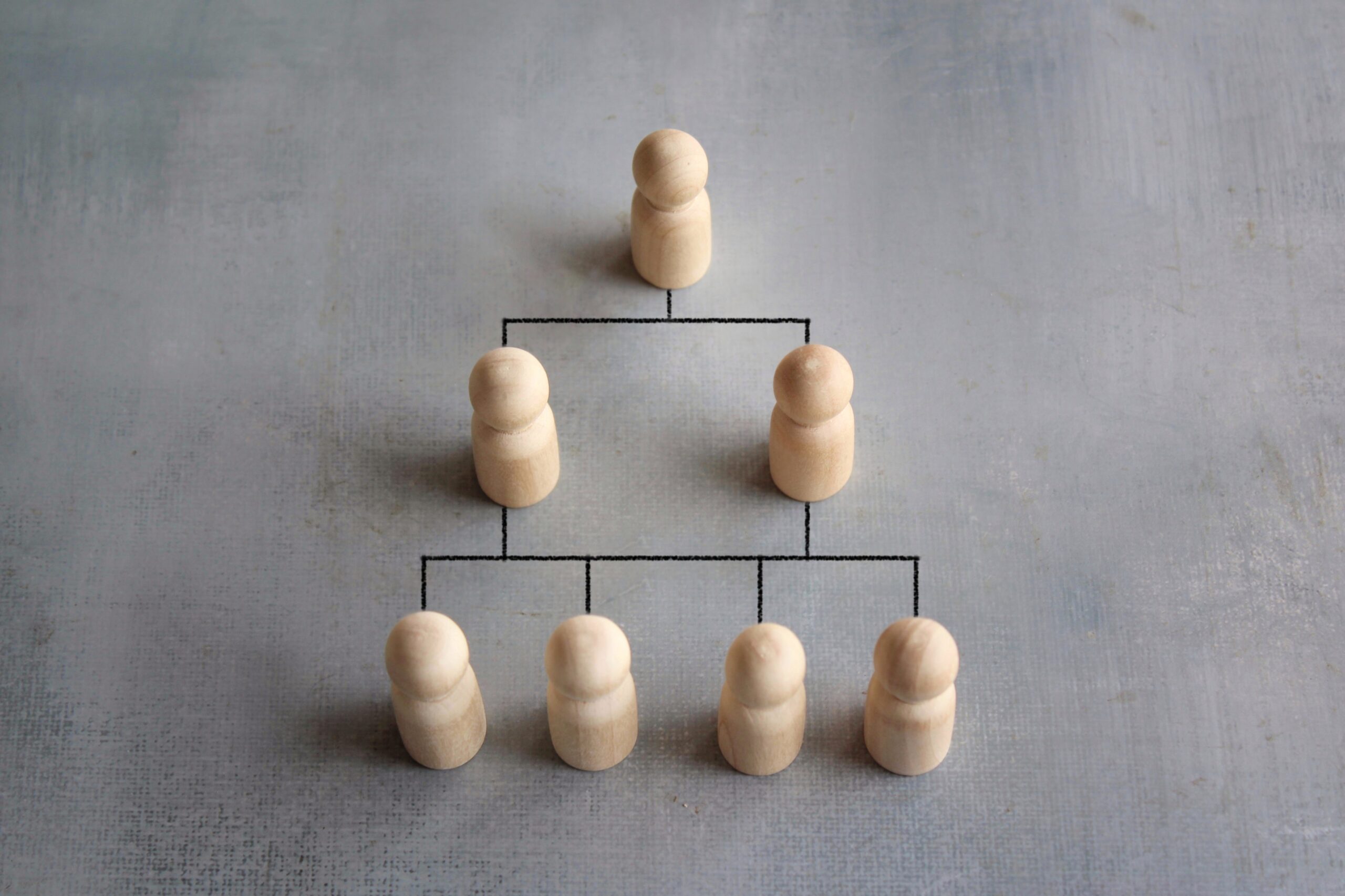 El Manual de Organización